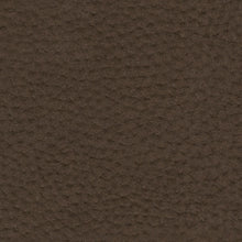 Load image into Gallery viewer, Next-Gen Gaucho Sofa and Loveseat