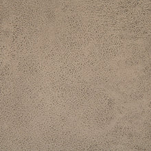 Load image into Gallery viewer, D380-524
