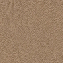 Load image into Gallery viewer, 3800608
