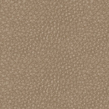 Load image into Gallery viewer, 61004/46/57/58/62/77 : 61004S5
