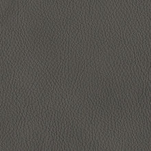 Load image into Gallery viewer, Bleckley PWR Recliner/ADJ Headrest
