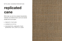 Load image into Gallery viewer, Cielden Queen Panel Bed with Mirrored Dresser, Chest and Nightstand
