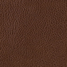 Load image into Gallery viewer, Brogliano Sofa and Loveseat
