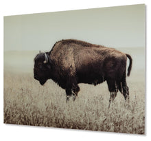 Load image into Gallery viewer, Brutus Wall Art
