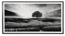 Load image into Gallery viewer, Deborland Wall Art
