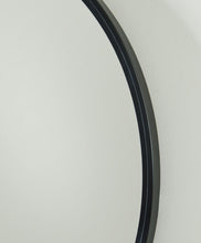 Load image into Gallery viewer, Brocky Accent Mirror
