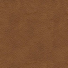 Load image into Gallery viewer, Carianna Sofa
