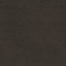 Load image into Gallery viewer, Femley Rocker Recliner
