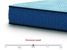Load image into Gallery viewer, Peak 2.0 10 Hybrid  Mattress
