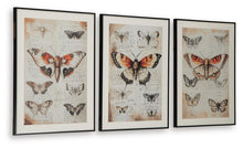Load image into Gallery viewer, Jossletts Wall Art Set (3/CN)
