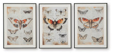 Load image into Gallery viewer, Jossletts Wall Art Set (3/CN)
