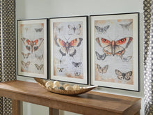 Load image into Gallery viewer, Jossletts Wall Art Set (3/CN)
