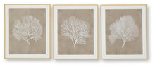 Load image into Gallery viewer, Hendridge Wall Art Set (3/CN)
