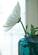 Load image into Gallery viewer, Inisland Vase
