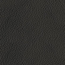 Load image into Gallery viewer, Luigi Sofa and Loveseat
