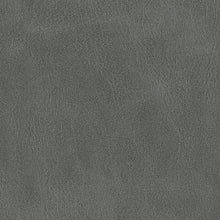 Load image into Gallery viewer, Tartonelle Accent Chair
