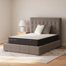 Load image into Gallery viewer, Limited Edition Firm  Mattress
