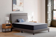 Load image into Gallery viewer, Anniversary Edition Firm  Mattress

