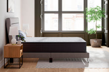 Load image into Gallery viewer, Anniversary Edition Firm  Mattress
