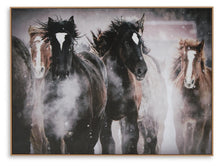 Load image into Gallery viewer, Chaseburn Wall Art
