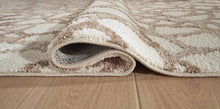 Load image into Gallery viewer, Wessonland Large Rug
