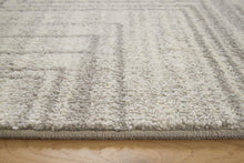 Load image into Gallery viewer, Dorwick Washable Medium Rug
